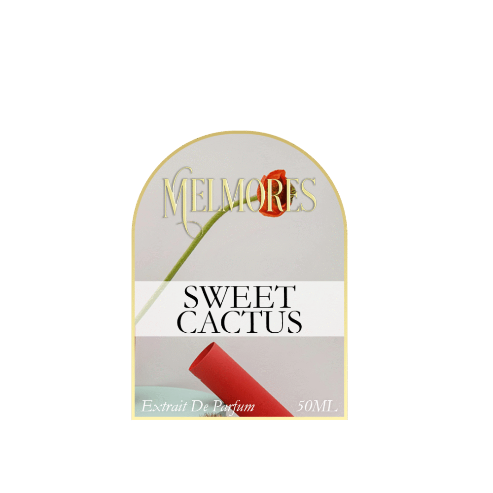 SWEET CACTUS - Image 2